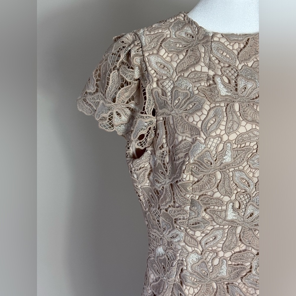 Antonio Melani Lace Dress in Tan